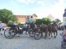 2025_07_20j__Wiesenfest-neuer König.JPG